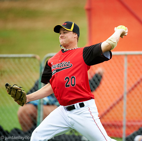 Wellington vs Counties