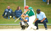 Auckland vs Hutt Valley