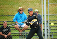 Wellington vs Counties