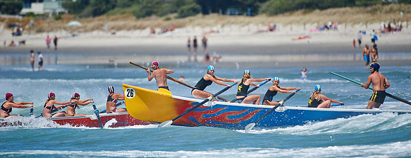 Bethells Beach