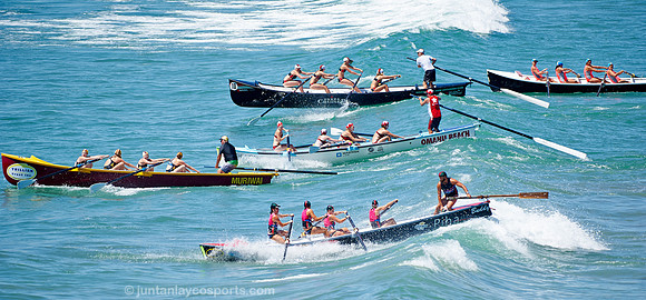 Muriwai